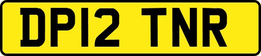 DP12TNR