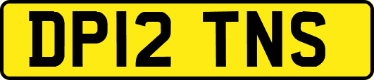 DP12TNS