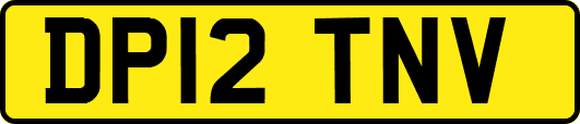 DP12TNV