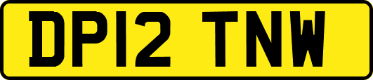 DP12TNW