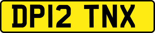 DP12TNX