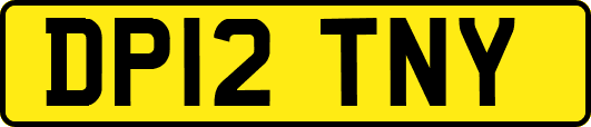 DP12TNY