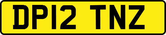 DP12TNZ