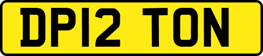 DP12TON