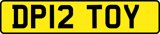 DP12TOY