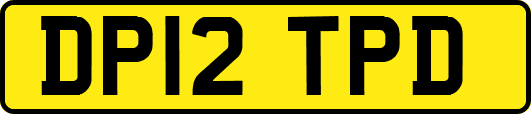 DP12TPD