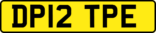 DP12TPE