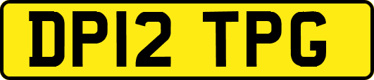 DP12TPG
