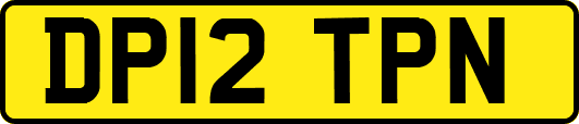 DP12TPN