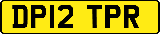 DP12TPR