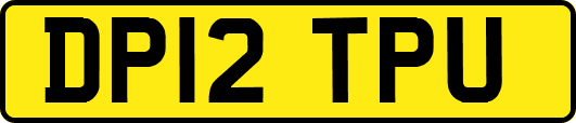 DP12TPU