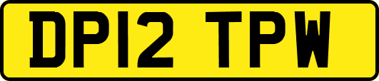 DP12TPW