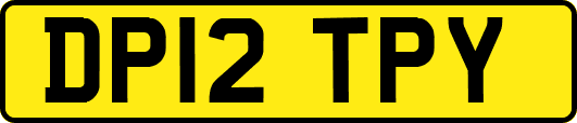 DP12TPY