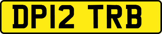 DP12TRB