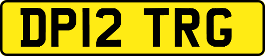 DP12TRG