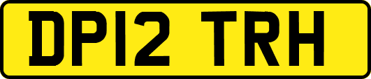 DP12TRH