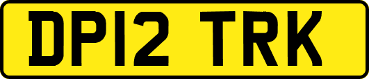 DP12TRK
