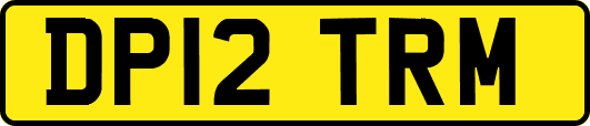 DP12TRM