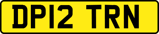 DP12TRN