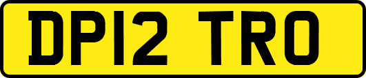 DP12TRO