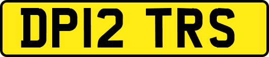 DP12TRS