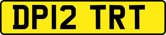 DP12TRT