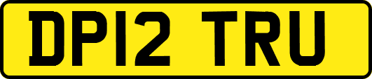 DP12TRU