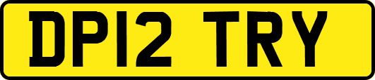 DP12TRY