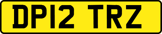 DP12TRZ