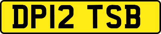 DP12TSB