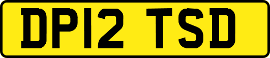 DP12TSD
