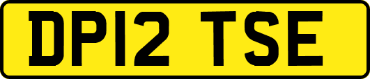 DP12TSE