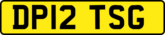 DP12TSG