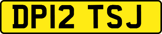 DP12TSJ