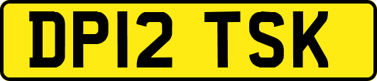 DP12TSK