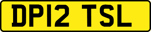 DP12TSL