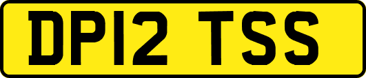 DP12TSS