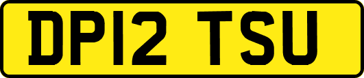 DP12TSU