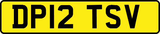 DP12TSV