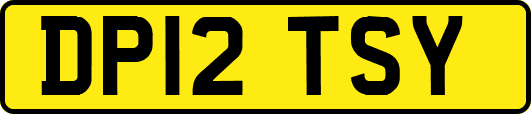 DP12TSY