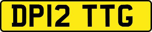 DP12TTG