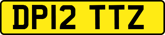 DP12TTZ