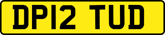 DP12TUD