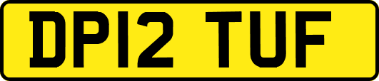DP12TUF