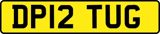 DP12TUG