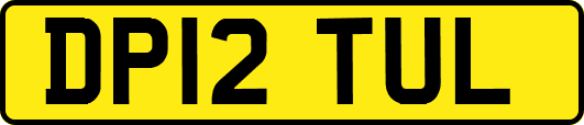 DP12TUL