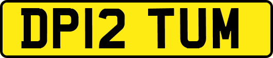DP12TUM