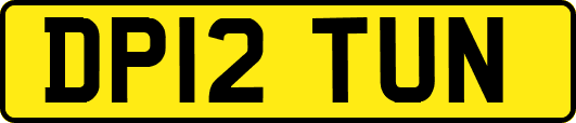 DP12TUN