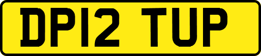 DP12TUP