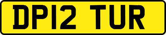 DP12TUR